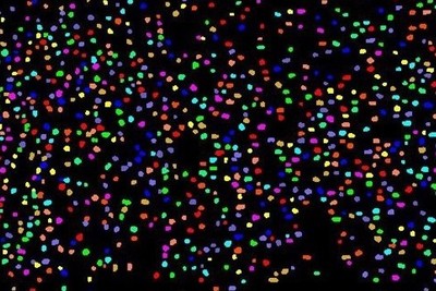 球团粒度在线识别系统